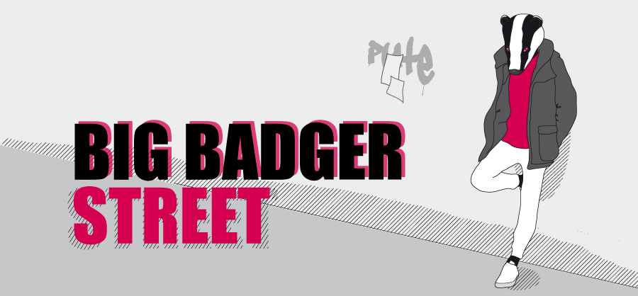Big Badger, illustration Morgane Maudet, copyright